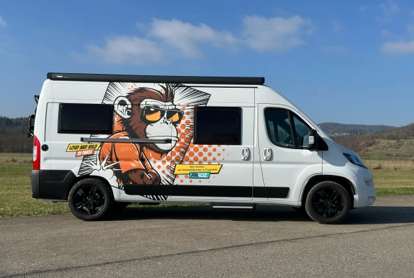PAROZ AG-Kastenwagen- Folierung - Affe- Tuning- Spezialumbau